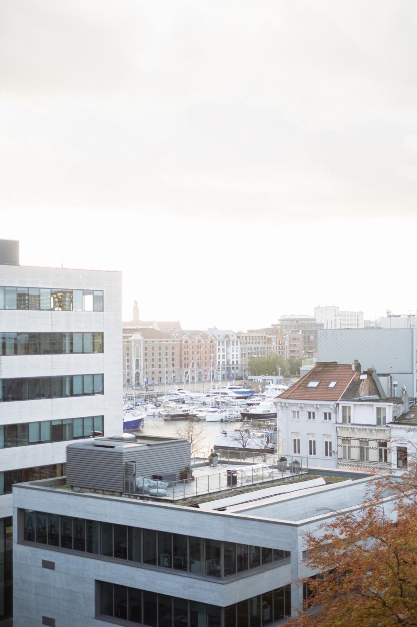 App Met Uitzicht Op 'T Mas En Ondergrondse Parking Apartment Antwerp Exterior photo